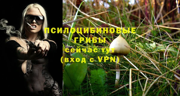 мет Вяземский